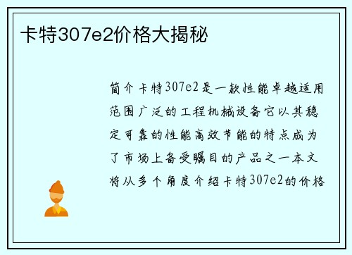 卡特307e2价格大揭秘