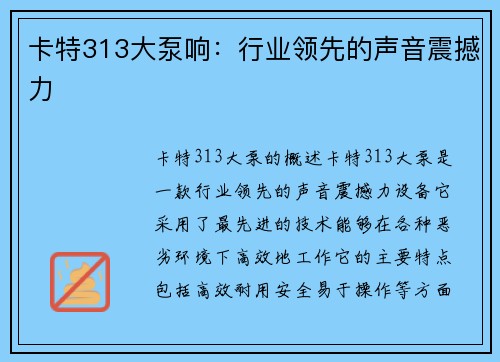 卡特313大泵响：行业领先的声音震撼力